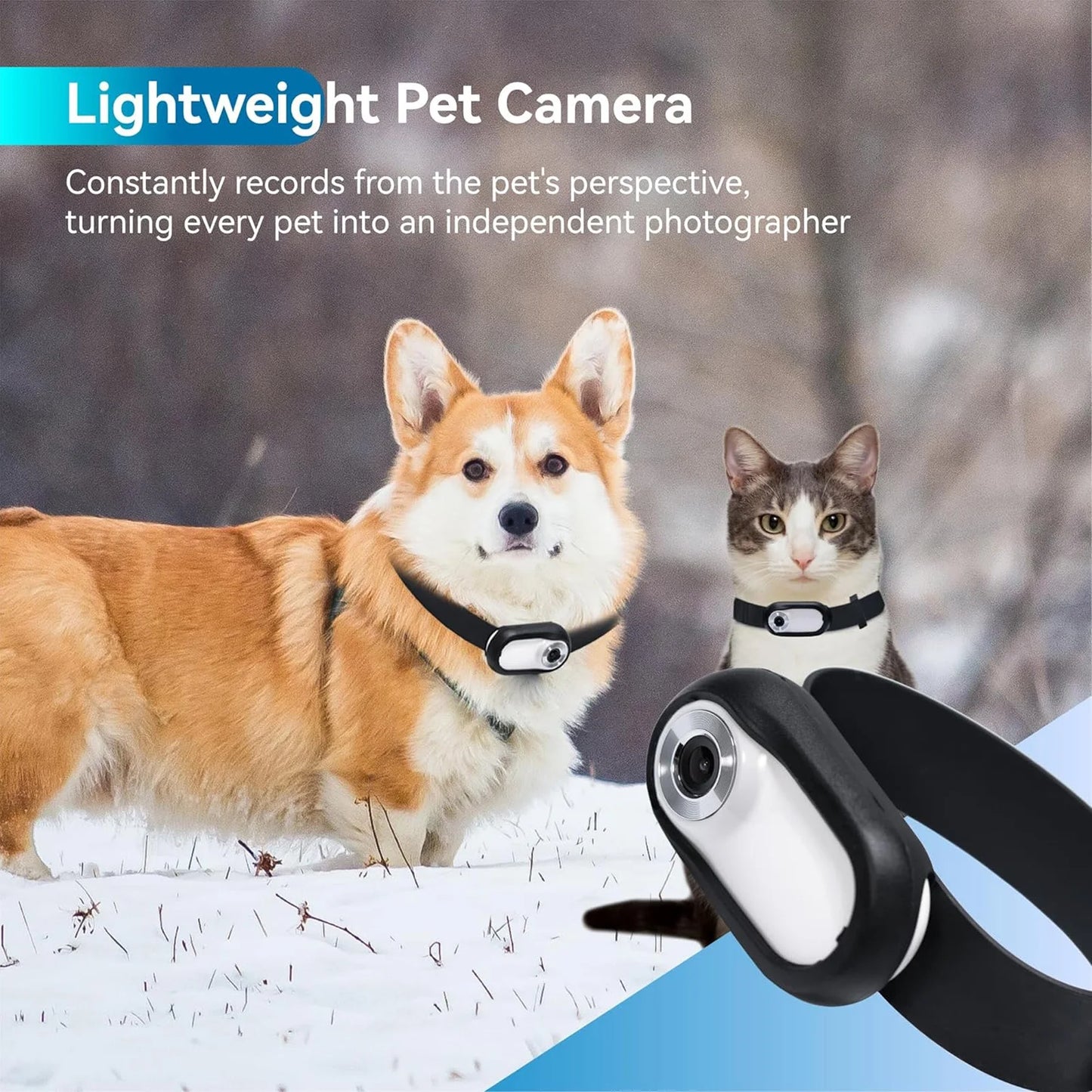 Pet Action Camera Small Pet Collar Camera 0.96In Screen Lightweight Full HD Rechargeable with Video Records for Cat for Outdoor