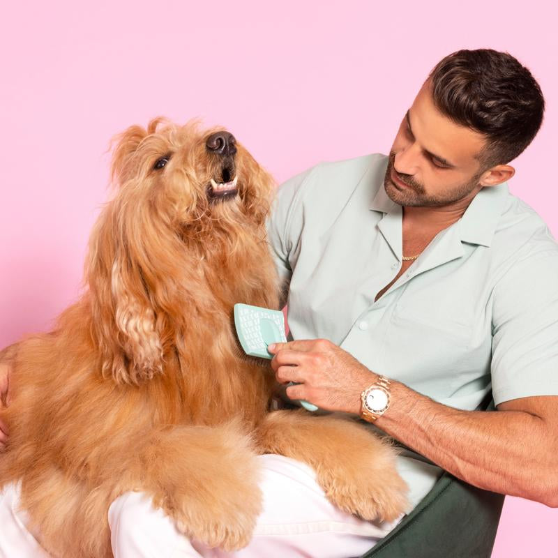 Brodie Brush - Dog Brush for Shedding and Grooming
