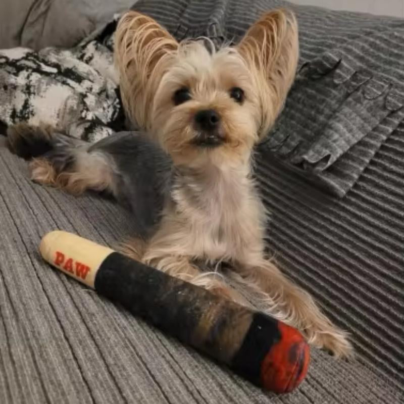 Paw Blunt Funny Interactive Dog Toy Interactive Jellycat Amuseables Seek Toy Cat Toys