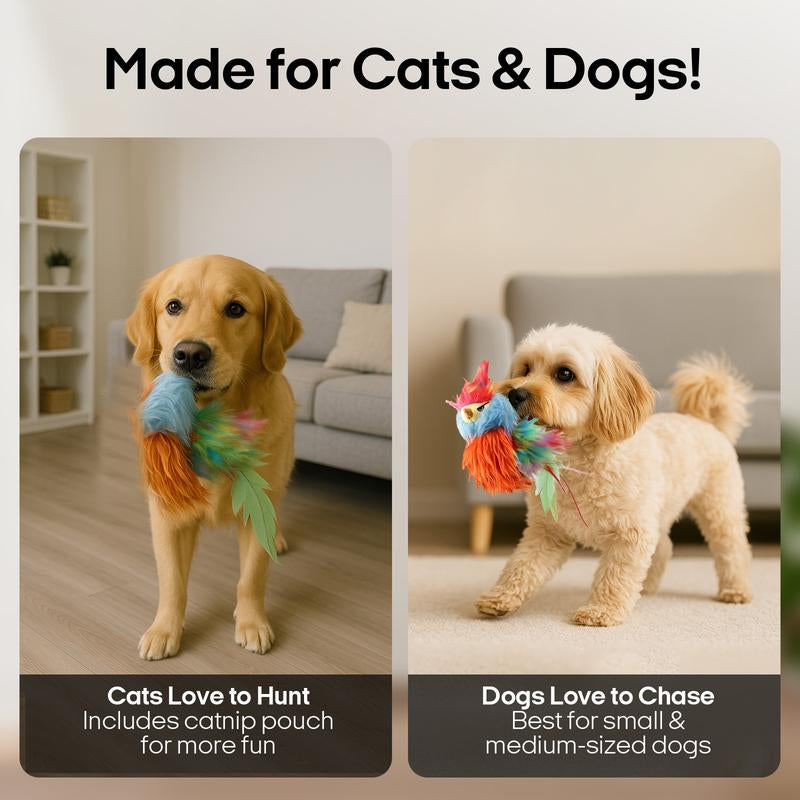 Vagascape Ugly Finch, Cat&Dog Toy,Interactive Rechargeable Toy on Rug with Bird Chirping, Anti-Depression Fun Gift for Cats & Dogs, Pet Supplies, Dog & Cat Accessories, Pet Products, Funny Gift, Cat Stuff
