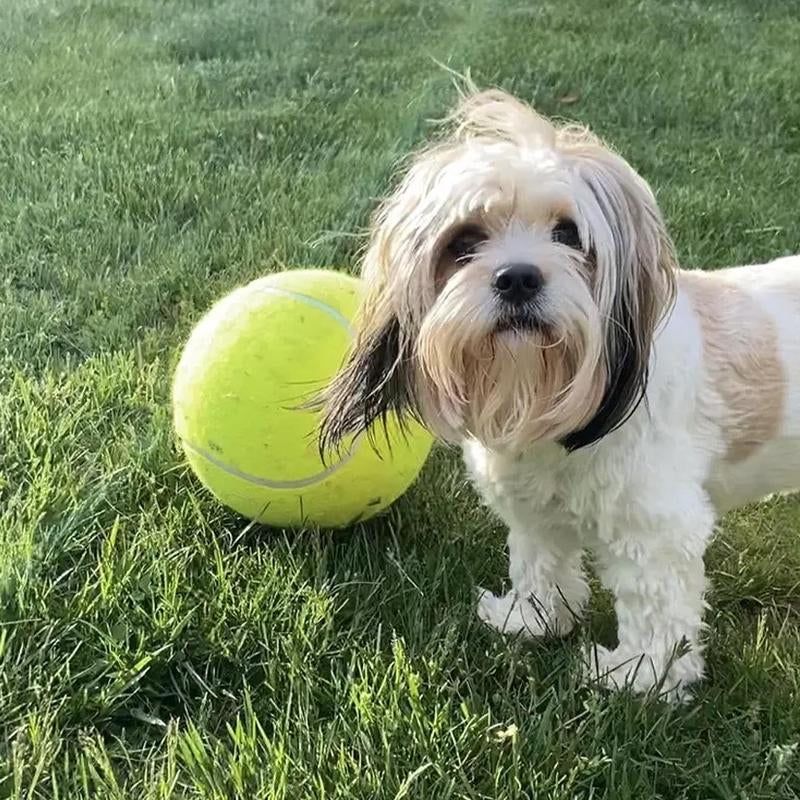 Durable Inflatable Rubber Tennis Ball for Dogs, Pet Chasing Toy Ball, Interactive Pet Toy Ball for Dogs & Cats, Pet Products, Dog Stuff, Christmas, Christmas Gift