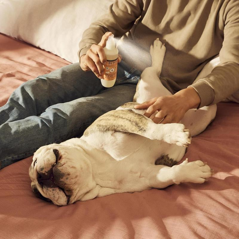 . CLEAN DAY Dog Deodorizing Spray, White Peach Scent, 8Oz