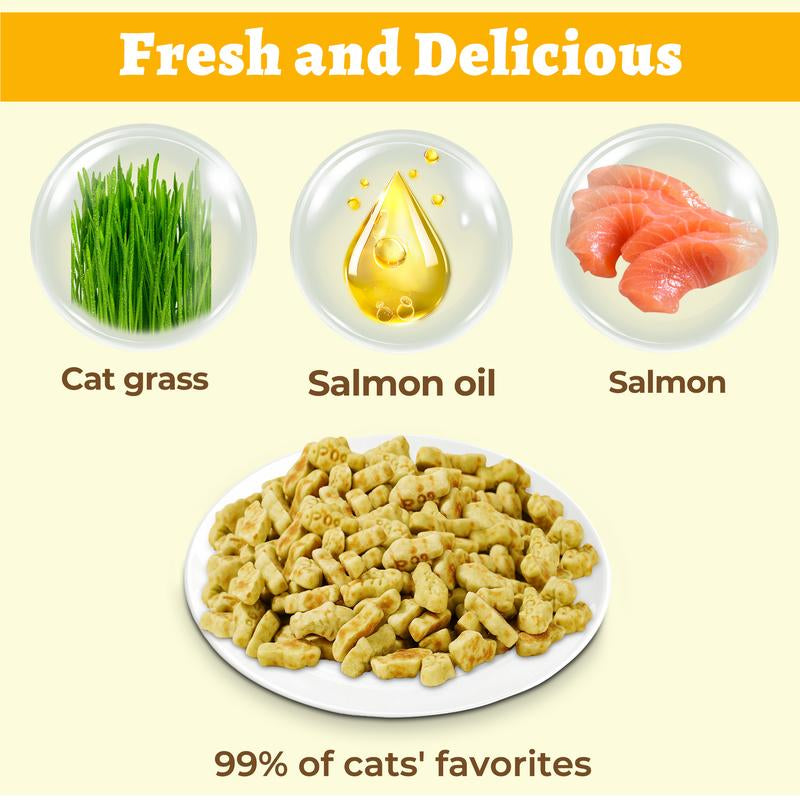 16Oz/450G Cat Grass Treats for Indoor Cats Salmon Flavor Cat Biscuits Natural Kitten Snacks Fish Oil Supplement &Teeth Cleaning - Pet Products