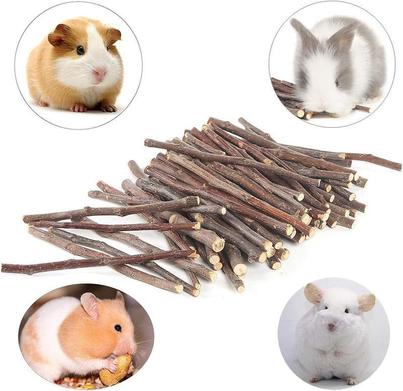 250G Apple Chew Sticks for Small Animals - Molar Treats for Rabbits, Chinchillas, Guinea Pigs, Hamsters, Gerbils, and Parrots