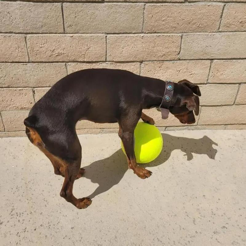 Durable Inflatable Rubber Tennis Ball for Dogs, Pet Chasing Toy Ball, Interactive Pet Toy Ball for Dogs & Cats, Pet Products, Dog Stuff, Christmas, Christmas Gift