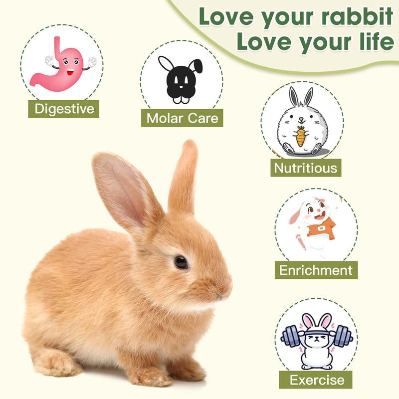 Rabbit Chew Toys, Natural Reed Grass Hanging Basket Chews, Woven Bunny Chewing Timothy Cake Wood Treats for Small Pets