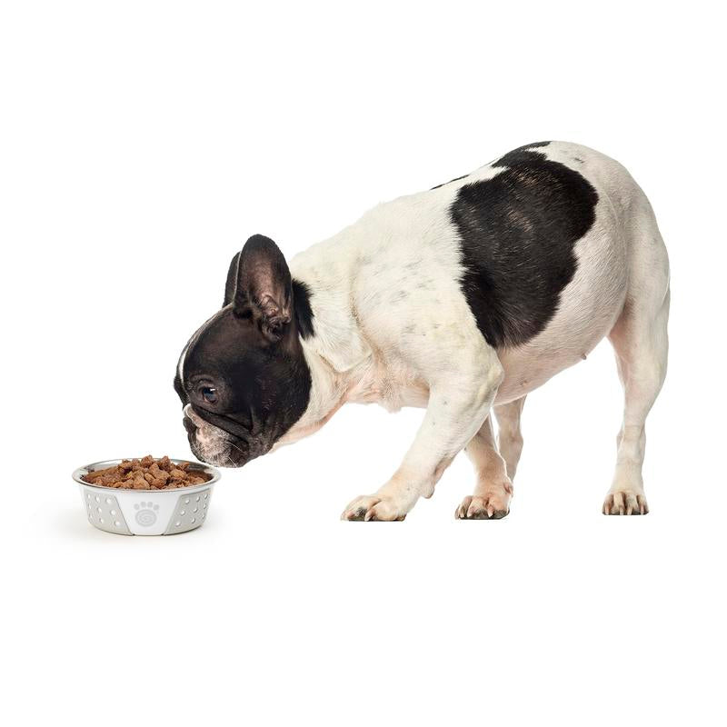 13094 Fiji Stainless Steel Non-Slip Dishwasher-Safe Dog Bowl 1.75-Cup Capacity 5.5-Inch Diameter 1.75-Inch Tall for Small Dogs Medium Ans Cats White and Light Grey