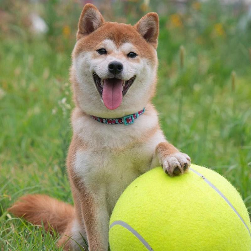 Durable Inflatable Rubber Tennis Ball for Dogs, Pet Chasing Toy Ball, Interactive Pet Toy Ball for Dogs & Cats, Pet Products, Dog Stuff, Christmas, Christmas Gift