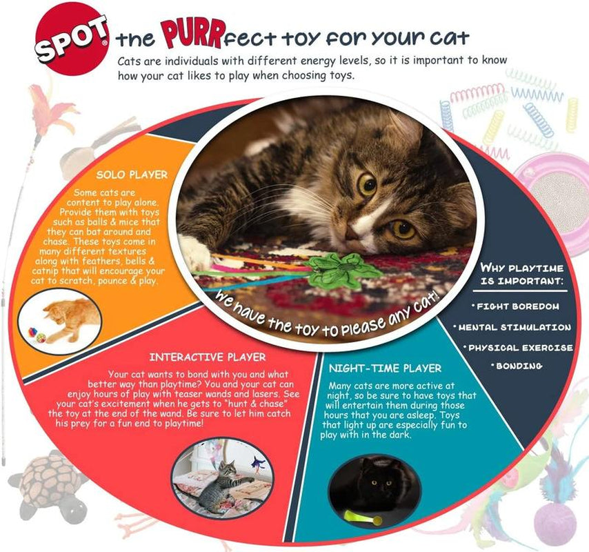 (2 Pack) Spot Wide Colorful Springs Cat Toy Ethical Cat
