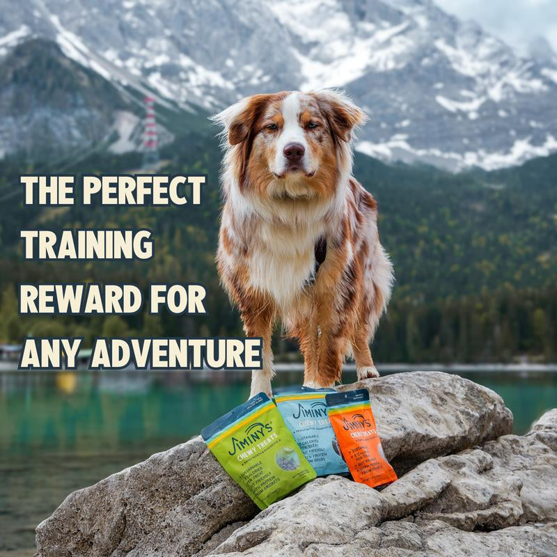 Chewy Low Calorie Dog Treats 3 Pack Bundle