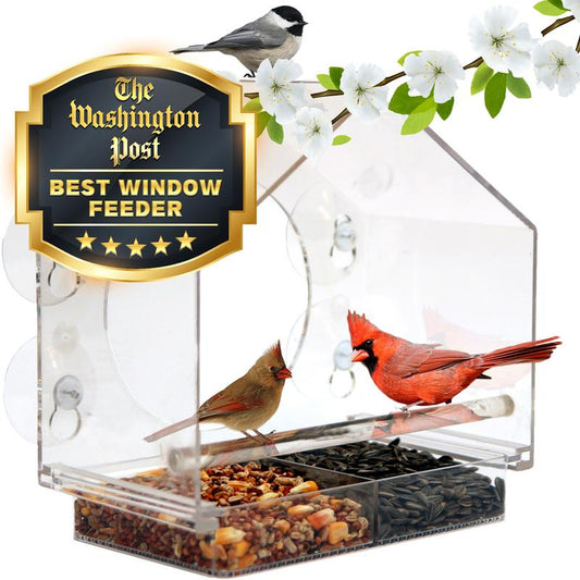 Birds-I-View Window Bird Feeder for Outdoor - Gift Idea - Gifts - Garden - Mothers Day