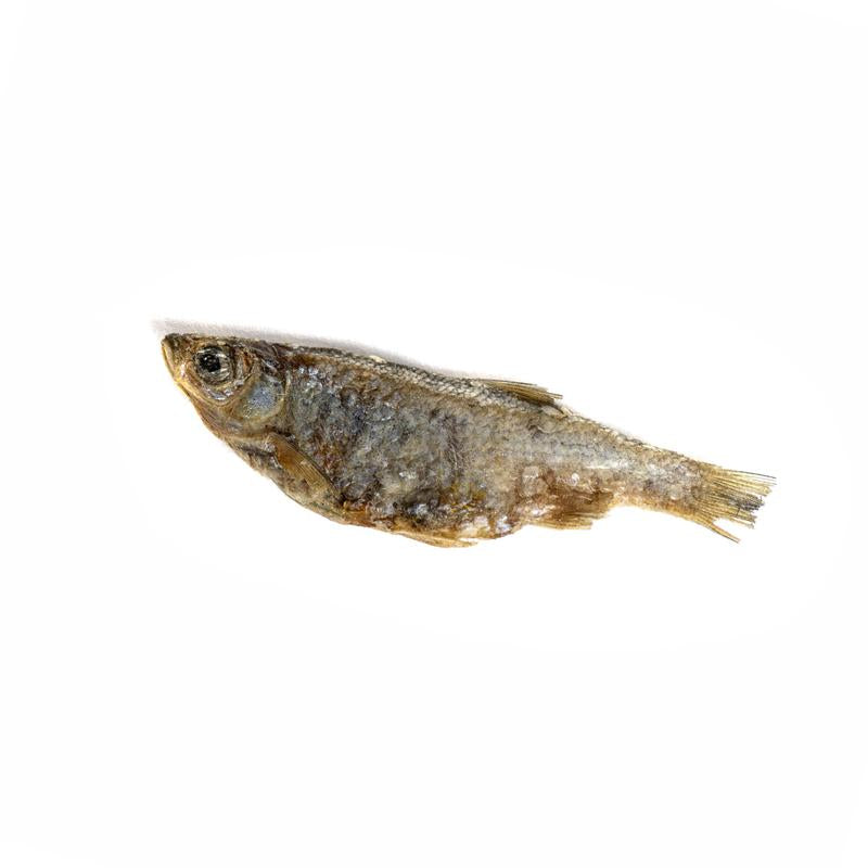 King Lou Whole Minnows - Freeze-Dried Raw Snack for Dogs and Cats Single Ingredient, 100% USA, Human Grade, Treats Pet Products Natural Food Pets Supplies