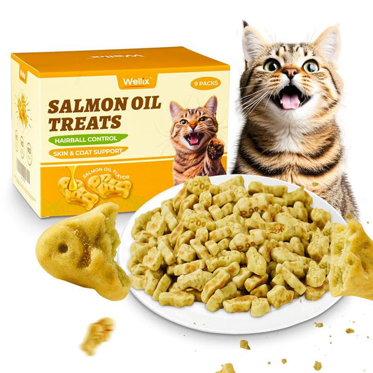 16Oz/450G Cat Grass Treats for Indoor Cats Salmon Flavor Cat Biscuits Natural Kitten Snacks Fish Oil Supplement &Teeth Cleaning - Pet Products