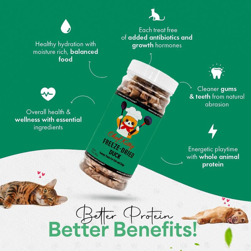 Freeze Dried Salmon Cat & Dog Treats - Made from 100% Human Grade Duck - Only 1 Ingredient - Healthy, Tasty, Dry Food for Indoor Cats, Kittens, Dogs - Inspected & Tested in the USA - Duck (1.59Oz-3.0Oz)
