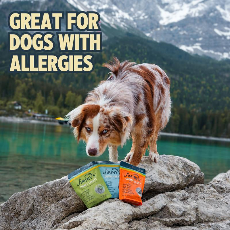 Chewy Low Calorie Dog Treats 3 Pack Bundle