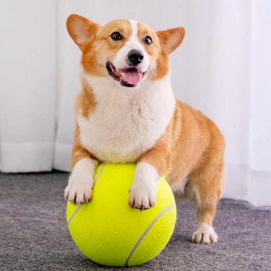 Durable Inflatable Rubber Tennis Ball for Dogs, Pet Chasing Toy Ball, Interactive Pet Toy Ball for Dogs & Cats, Pet Products, Dog Stuff, Christmas, Christmas Gift